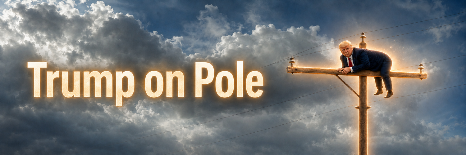 Trump On Pole — dramatic banner of Trump perched on a utility pole